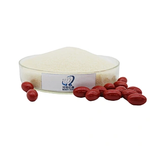 Food Grade Gelatin Manufacturer Custom Bloom Bovine Gelatin Powder